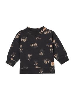 Sweat manches longues Bébé Garçon Raton Grijota