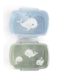 Lot de 2 Boîtes Repas Filibabba – Magie et Praticité pour le Goûter