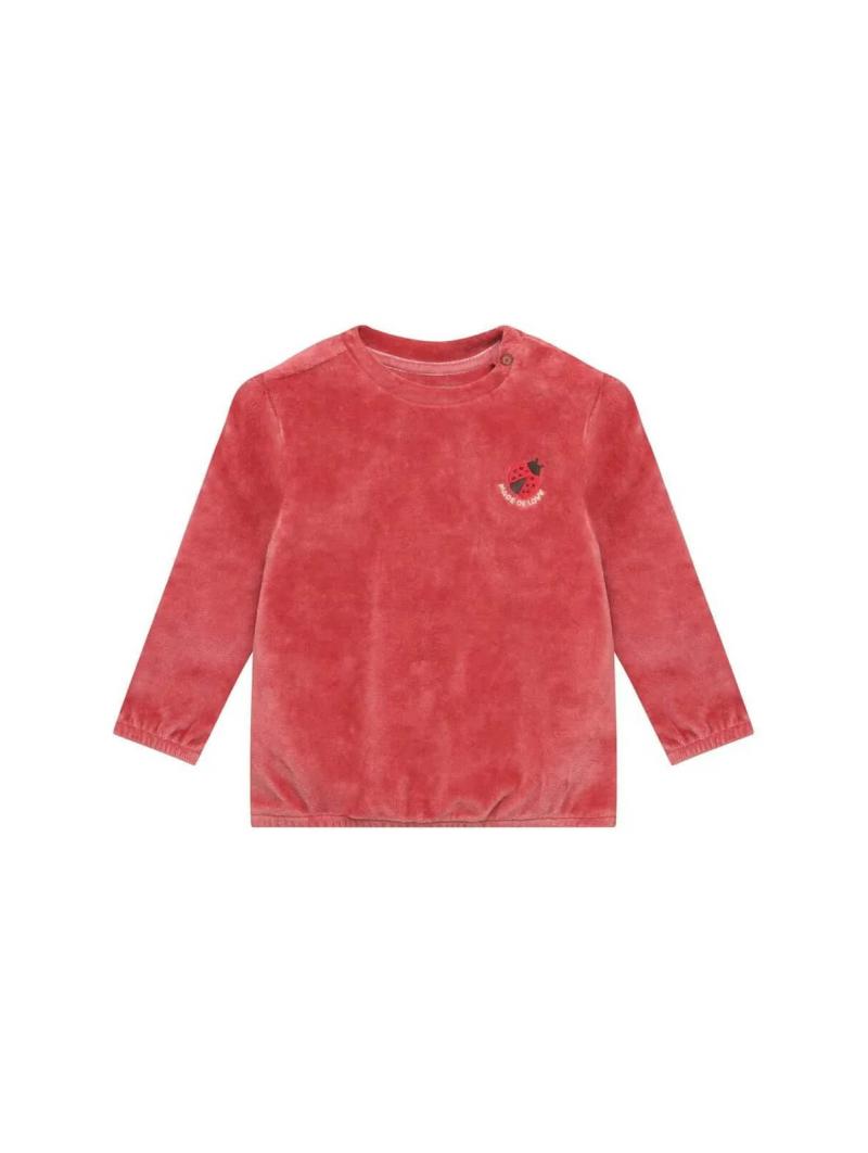 Pull / Sweat Bébé Fille en Velours Terracotta – Coccinelle Brodée