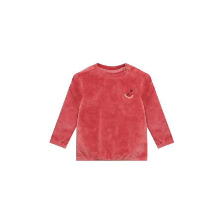 Pull / Sweat Bébé Fille en Velours Terracotta – Coccinelle Brodée