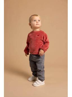 Pull / Sweat Bébé Fille en Velours Terracotta – Coccinelle Brodée