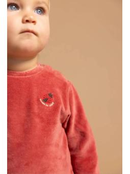 Ensemble 2 Pièces Bébé Fille en Velours & Coton Bio – Pull Terracotta & Pantalon Côtelé Coccinelles