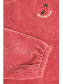 Ensemble 2 Pièces Bébé Fille en Velours & Coton Bio – Pull Terracotta & Pantalon Côtelé Coccinelles
