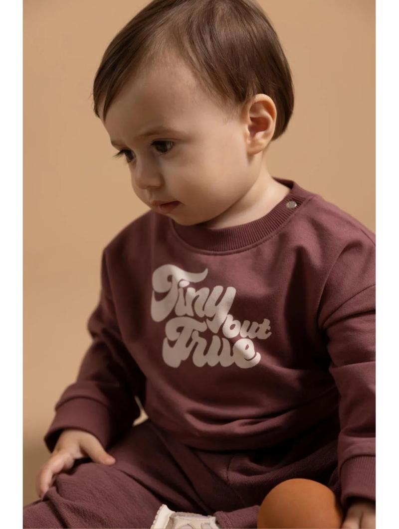 Sweat Bébé Garçon "Tiny But True" Baked Cherry – Noppies Baby