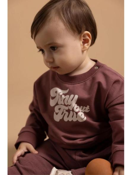 Sweat Bébé Garçon "Tiny But True" Baked Cherry – Noppies Baby