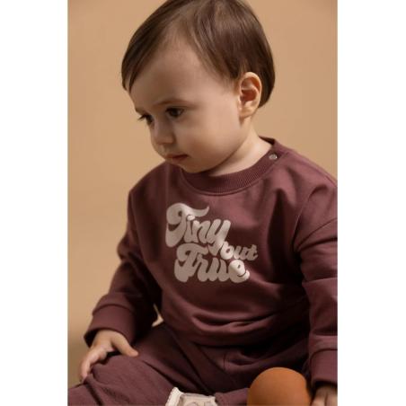 Sweat Bébé Garçon "Tiny But True" Baked Cherry – Noppies Baby