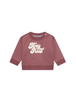 Sweat Bébé Garçon "Tiny But True" Baked Cherry – Noppies Baby