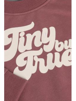 Sweat Bébé Garçon "Tiny But True" Baked Cherry – Noppies Baby